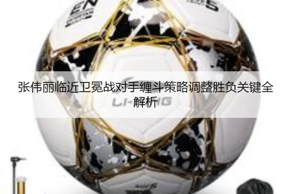 张伟丽临近卫冕战对手缠斗策略调整胜负关键全解析