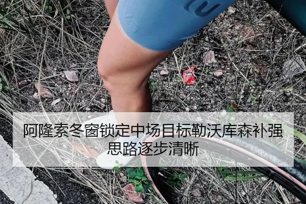 阿隆索冬窗锁定中场目标勒沃库森补强思路逐步清晰